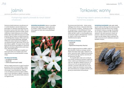 Aromaterapia dla duszy i ciała_2